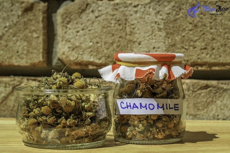 chamomile-herb