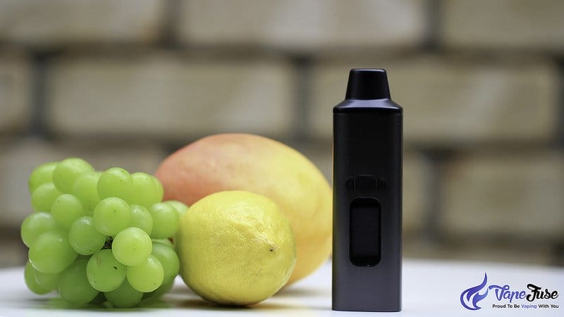 WOW Portable Vaporizer black with fruits